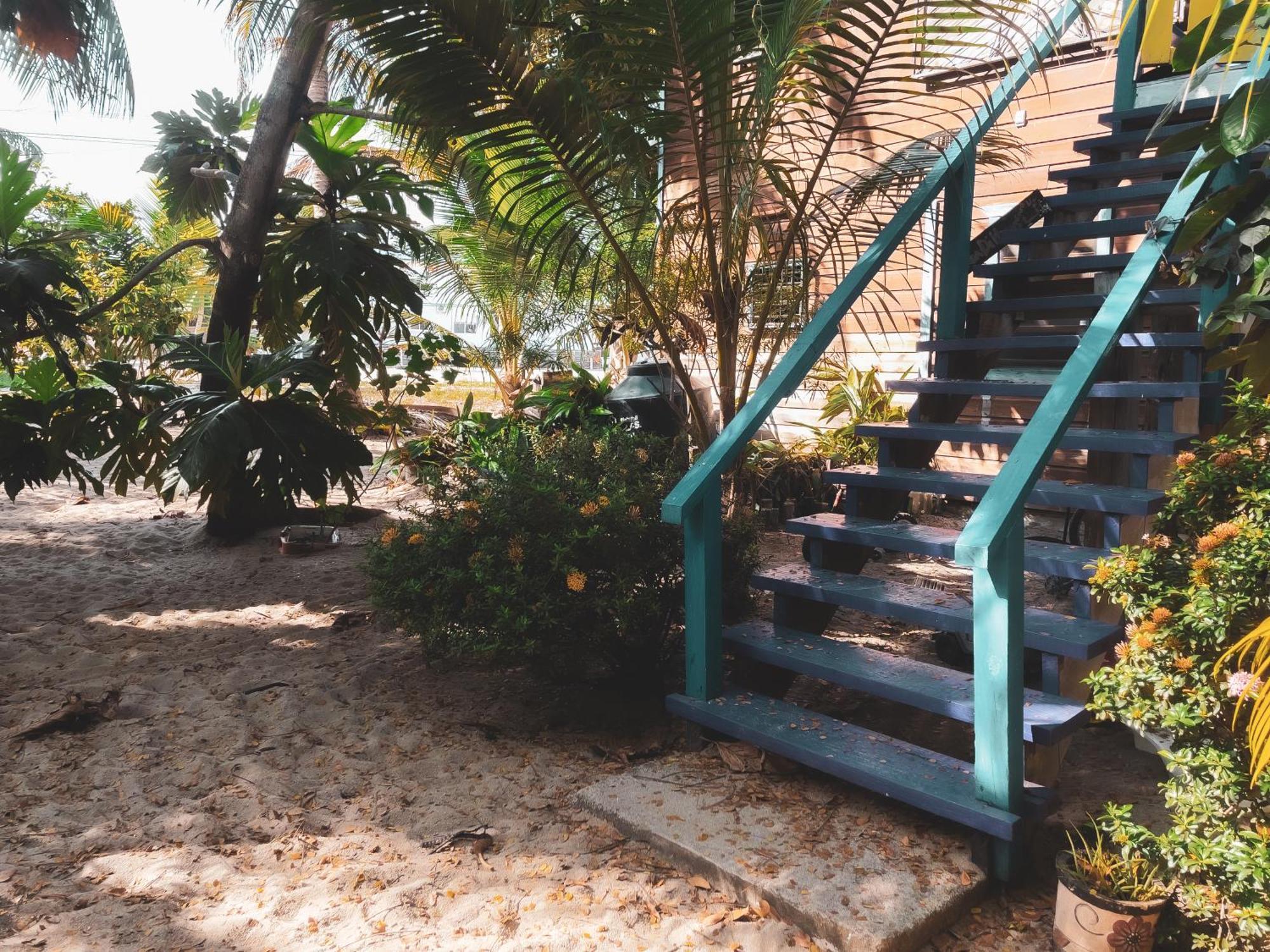 Anda Di Hows Hostel Placencia Экстерьер фото