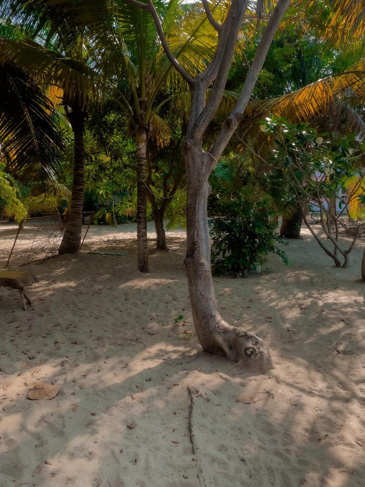 Anda Di Hows Hostel Placencia Экстерьер фото