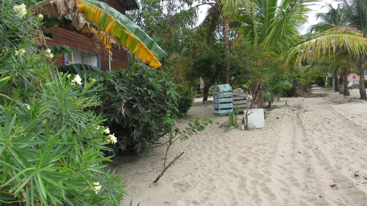 Anda Di Hows Hostel Placencia Экстерьер фото